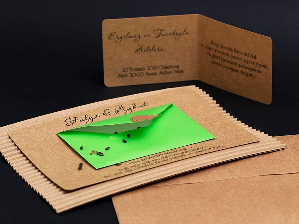 Alyans Davetiye 2009 4