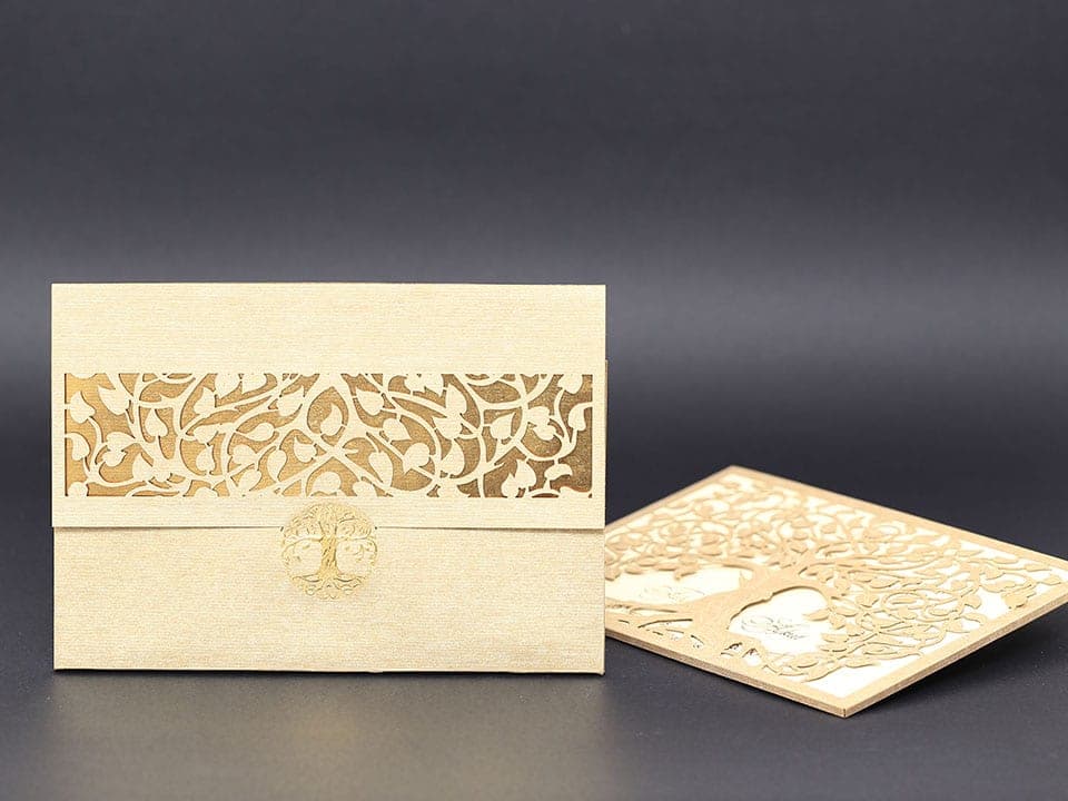 Alyans Davetiye 2017 1