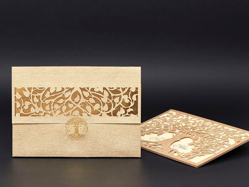 Alyans Davetiye 2017 2