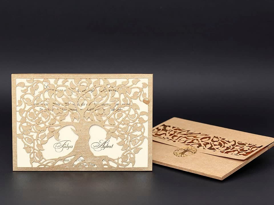 Alyans Davetiye 2017 3