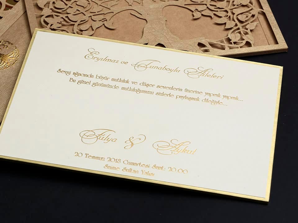 Alyans Davetiye 2017 5