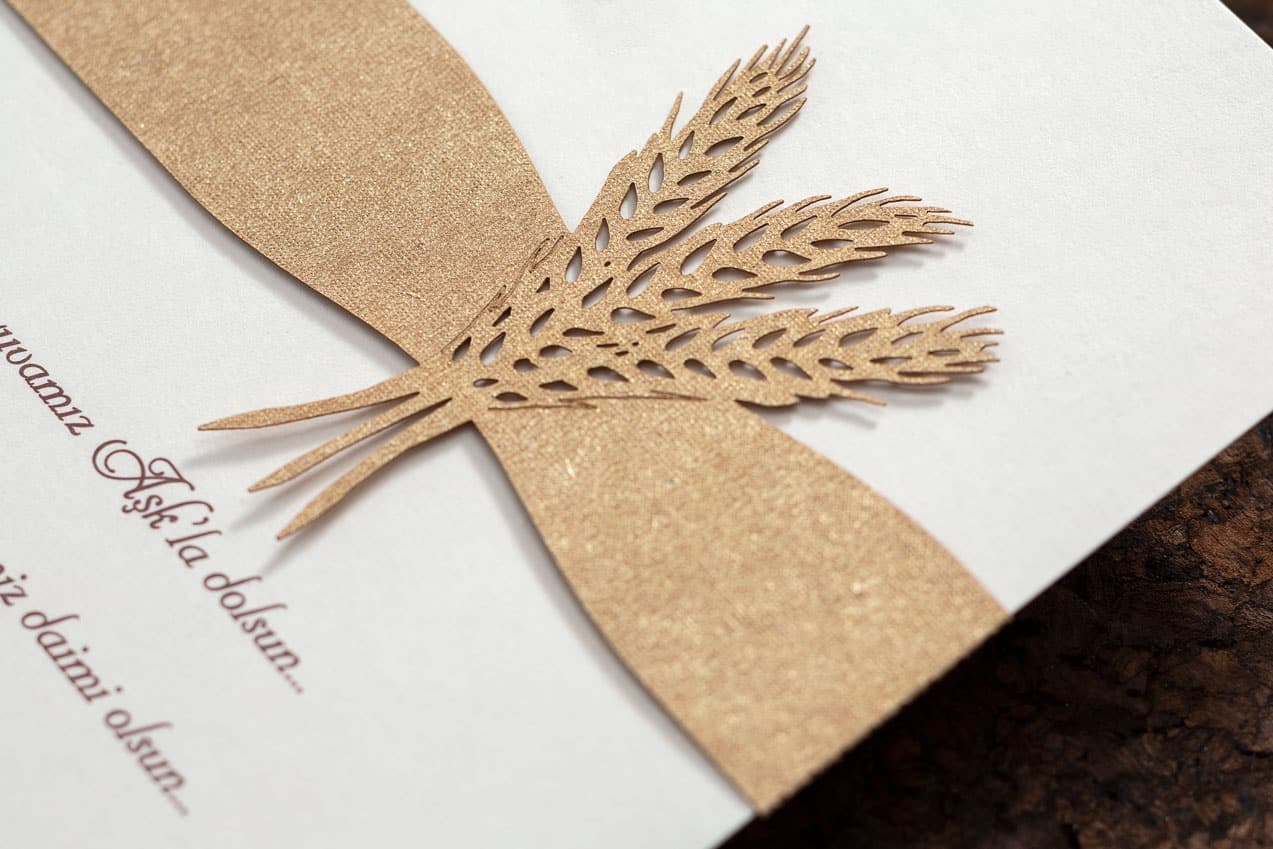 İklim Davetiye 10562 2