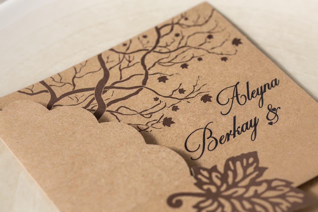 İklim Fenomen 7051 3