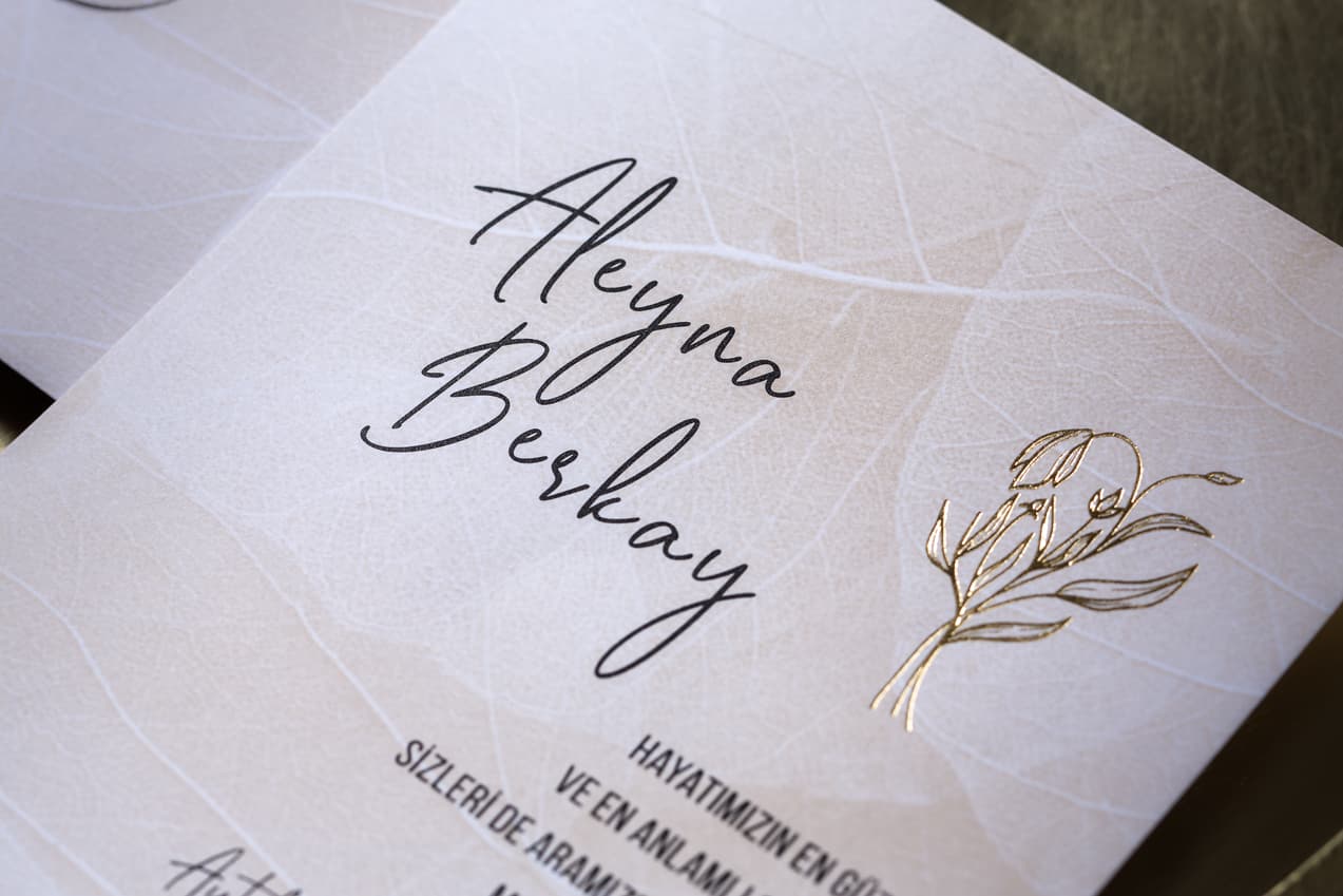 İklim Fenomen 7091 2